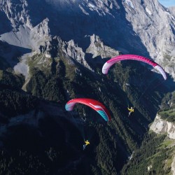 Parapente NIVIUK KOYOT 5